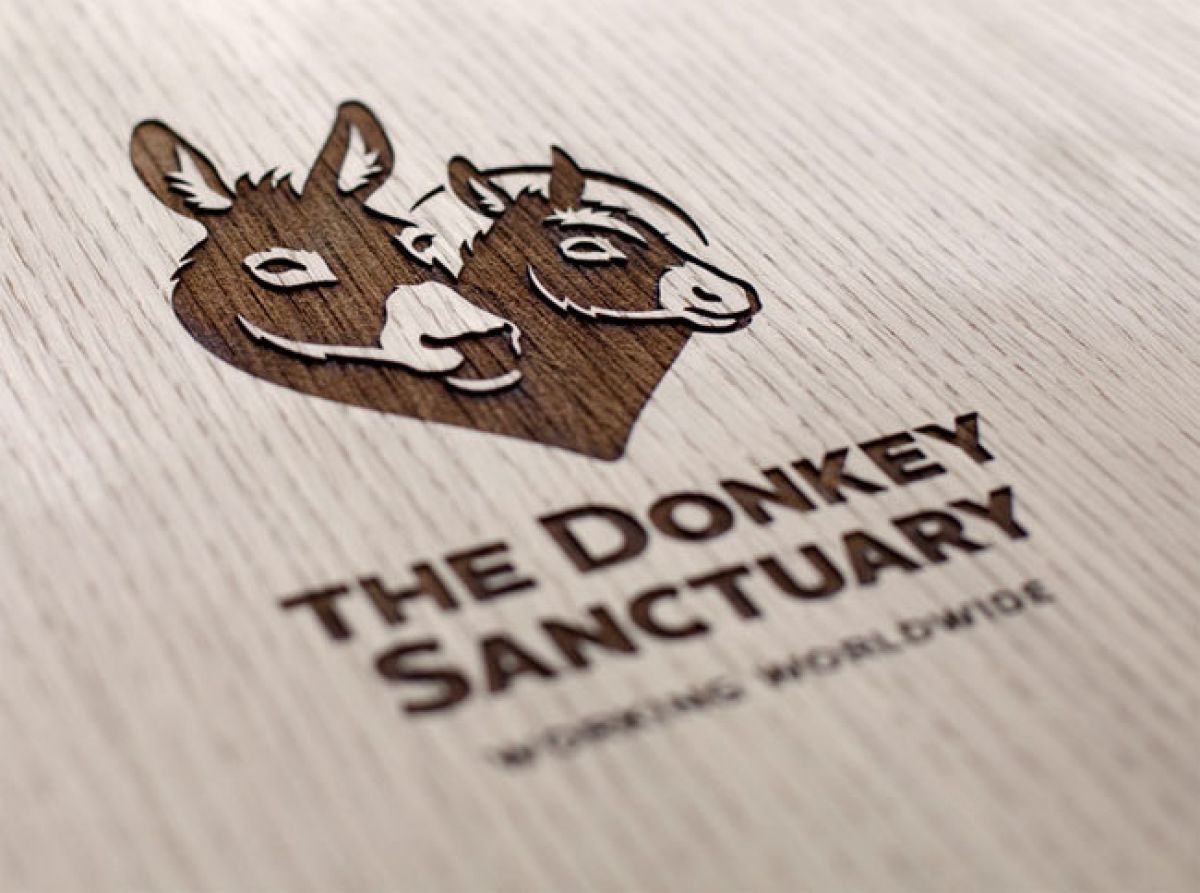The-donkey-sanctuary-logo-01